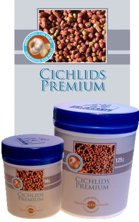 Cichlids Premium